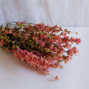 Pink delphinium boot