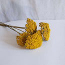 Botte Achillée jaune