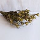 Natural orientalis boot natural