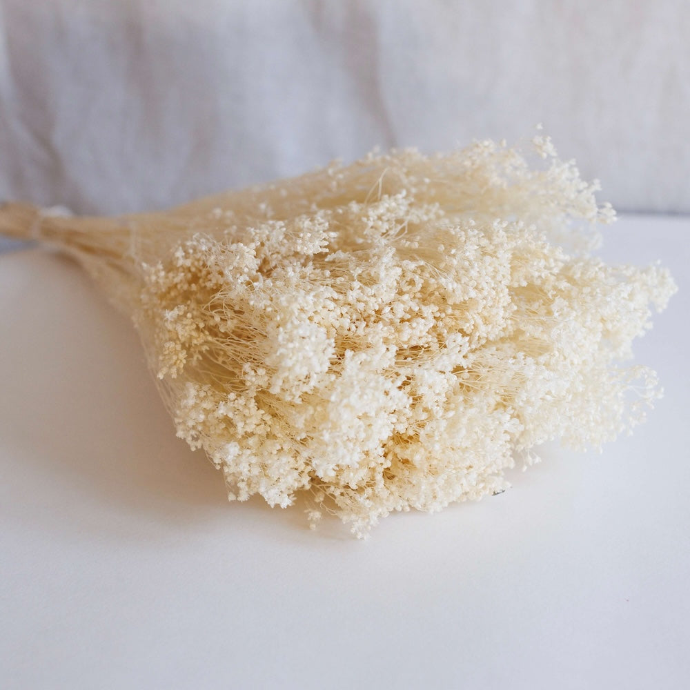 Botte Broom bloom blanc