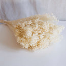 White Broom Broom Boot