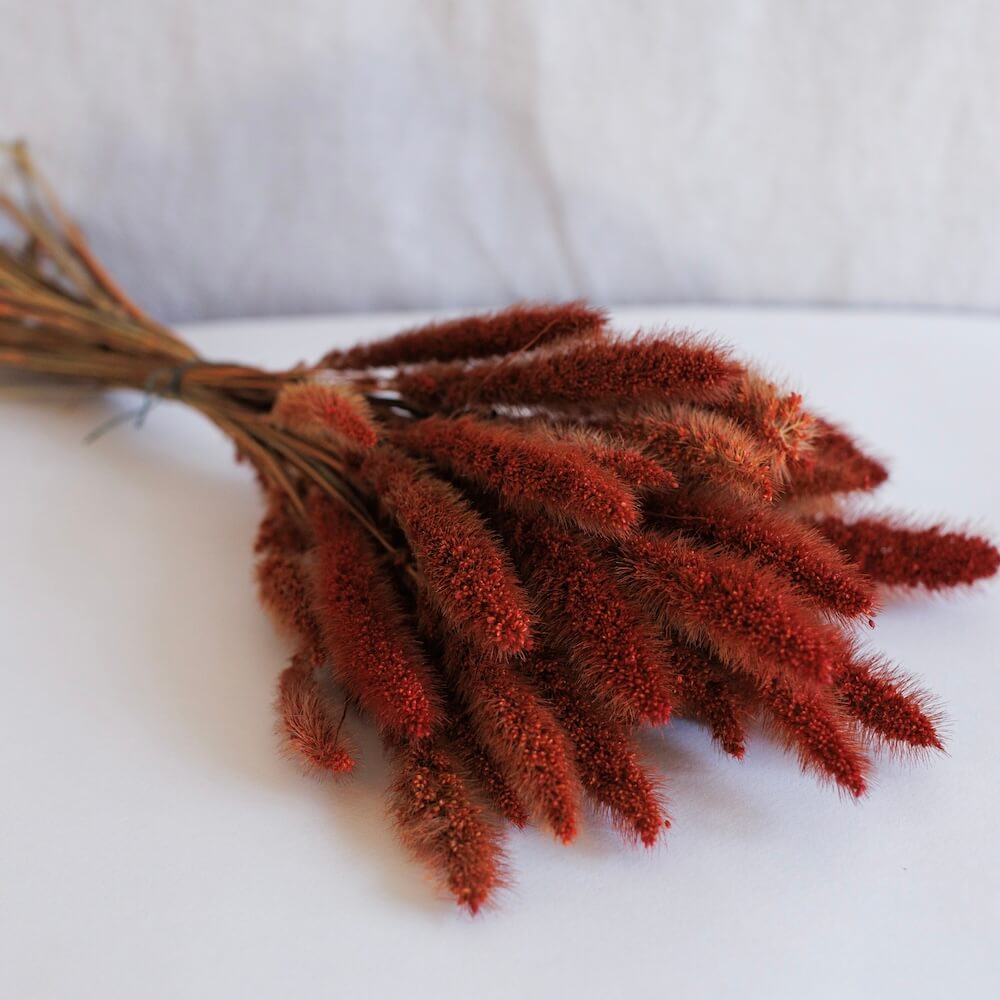 Botte Sétaire Rouille