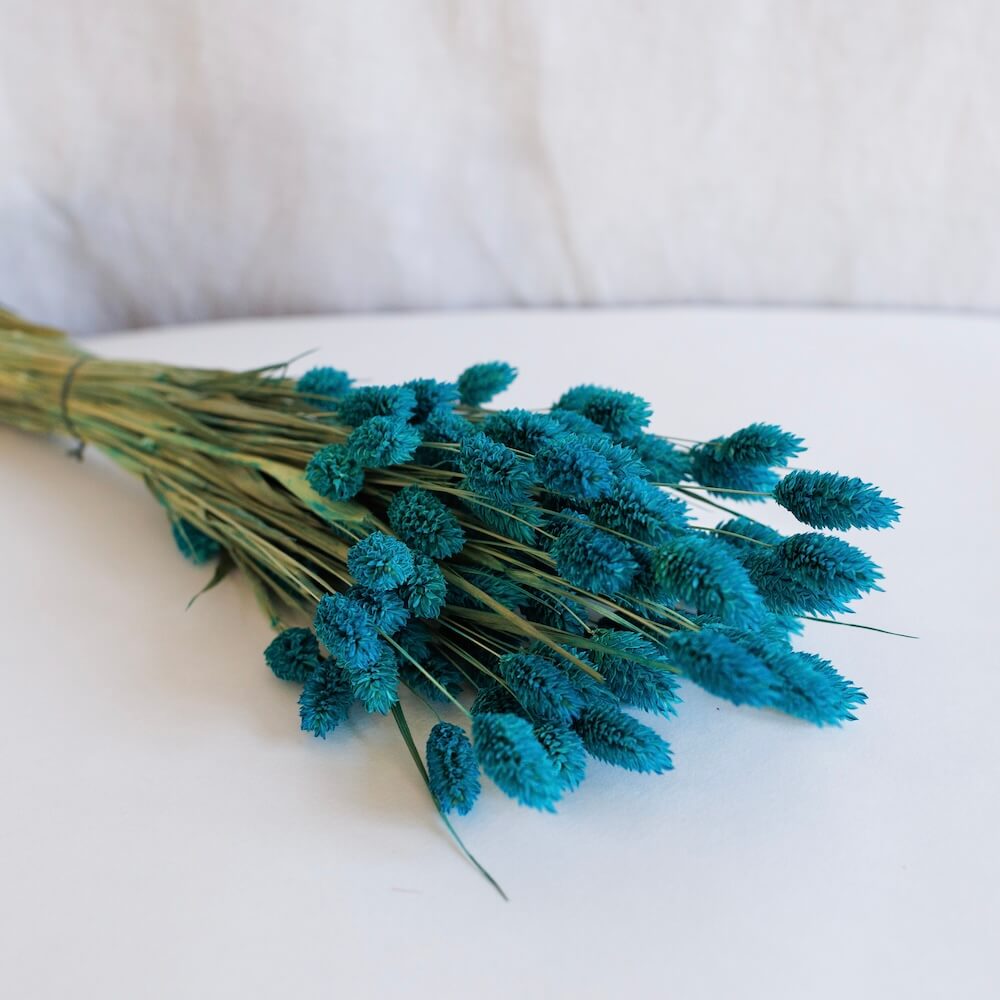 Blue Phalaris Boot Petrol