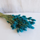 Botte Phalaris Bleu petrol