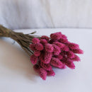 Dark pink phalaris boot