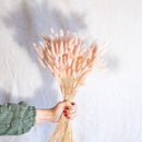 Botte Lagurus Rose pastel