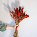 Botte Sétaire Rouille