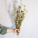 Natural orientalis boot natural