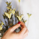 Natural orientalis boot natural