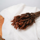 Botte Lagurus Marron - Flowrette
