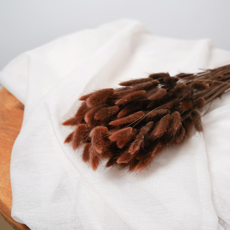 Botte Lagurus Marron - Flowrette