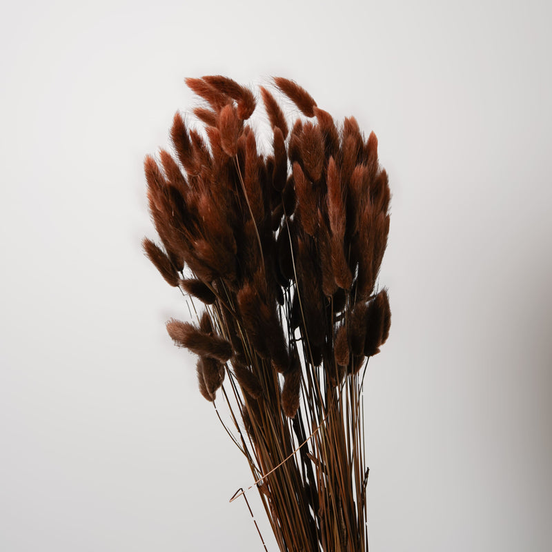 Botte Lagurus Marron - Flowrette