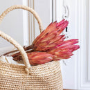 botte-flowrette-exotiques