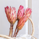 botte-flowrette-exotiques