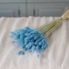 Botte de lagurus baby blue séché Flowrette en gros plan