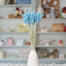 Botte de lagurus baby blue séché en bouquet de fleurs séchées Flowrette