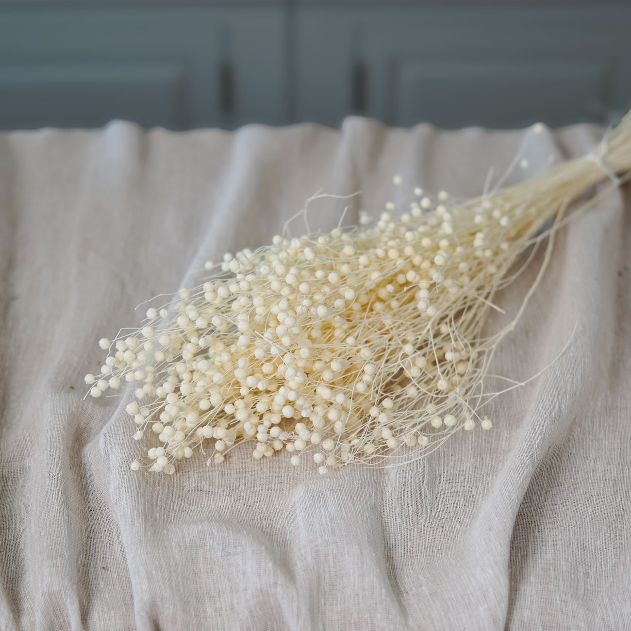 Botte de lin blanc séché Flowrette en gros plan
