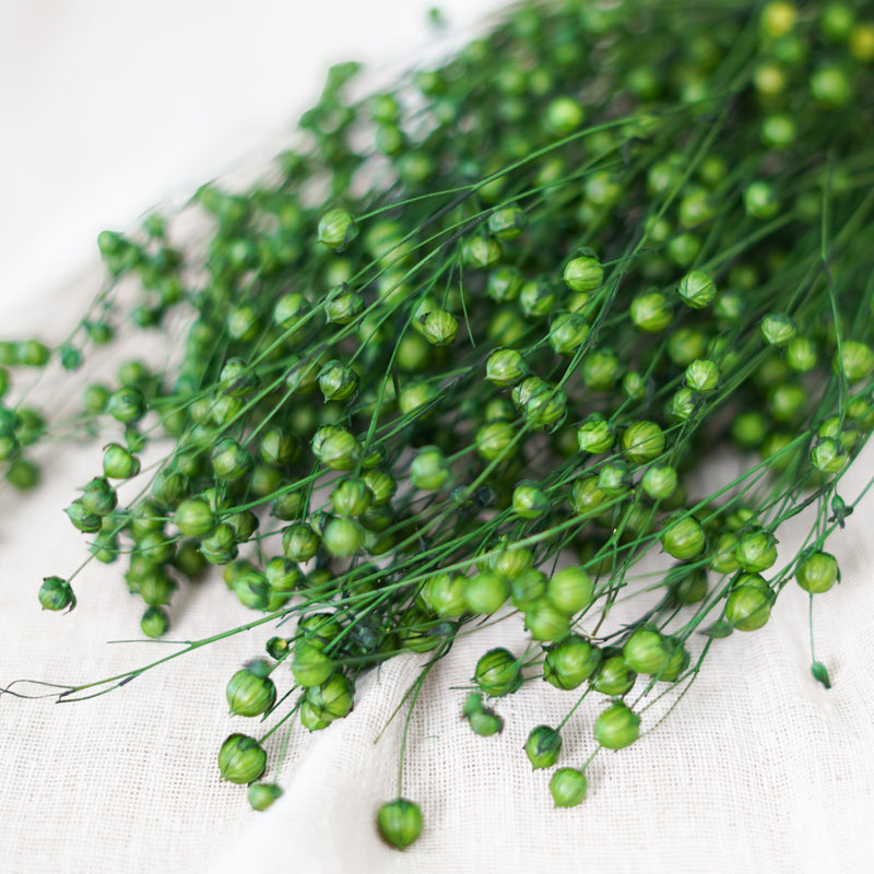 Botte de lin vert foncé séché dans un vase Flowrette