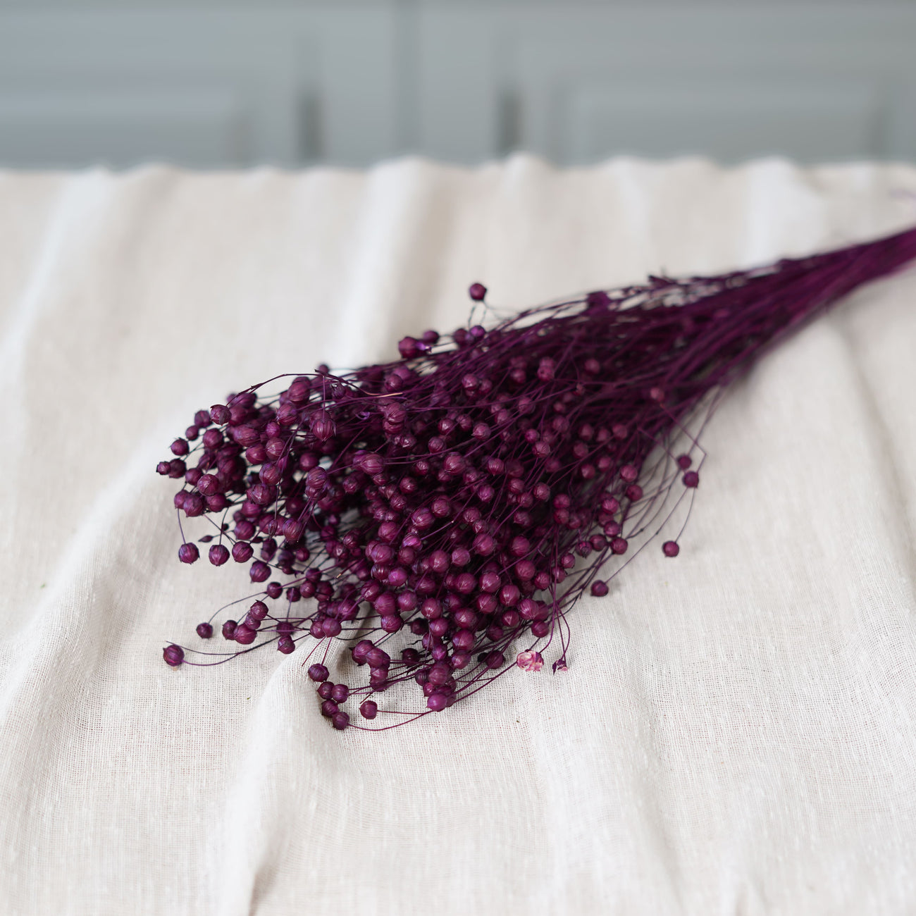 Botte de lin violet séché Flowrette en gros plan