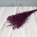 Botte de lin violet séché Flowrette en gros plan