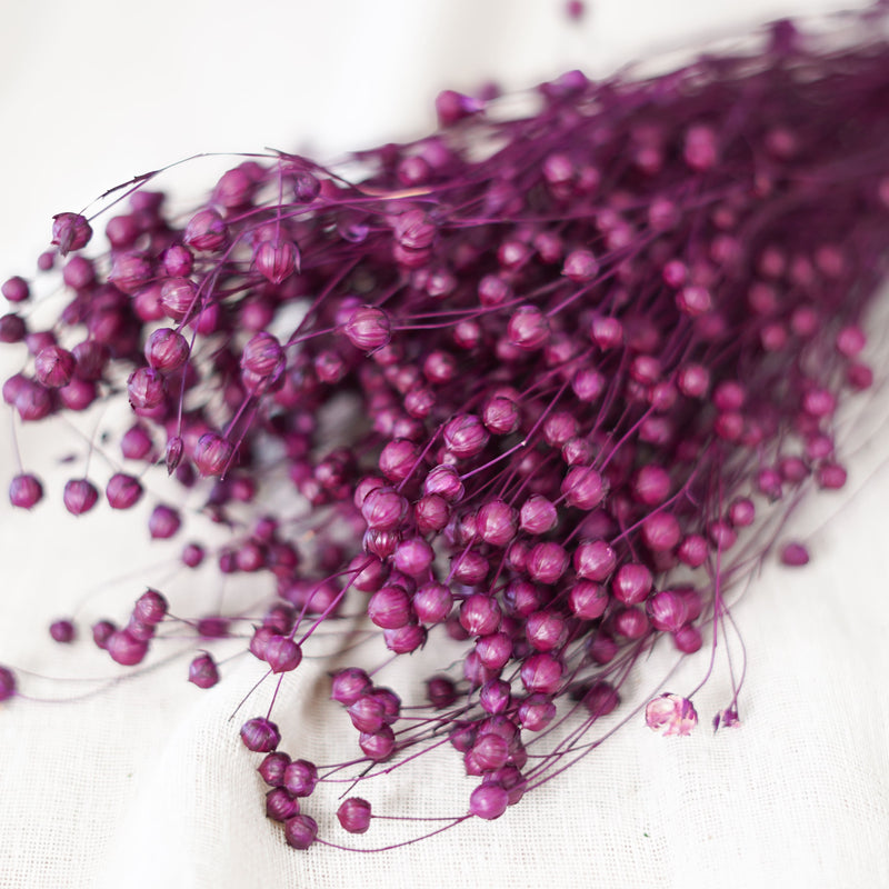 Botte de lin violet séché dans un vase Flowrette