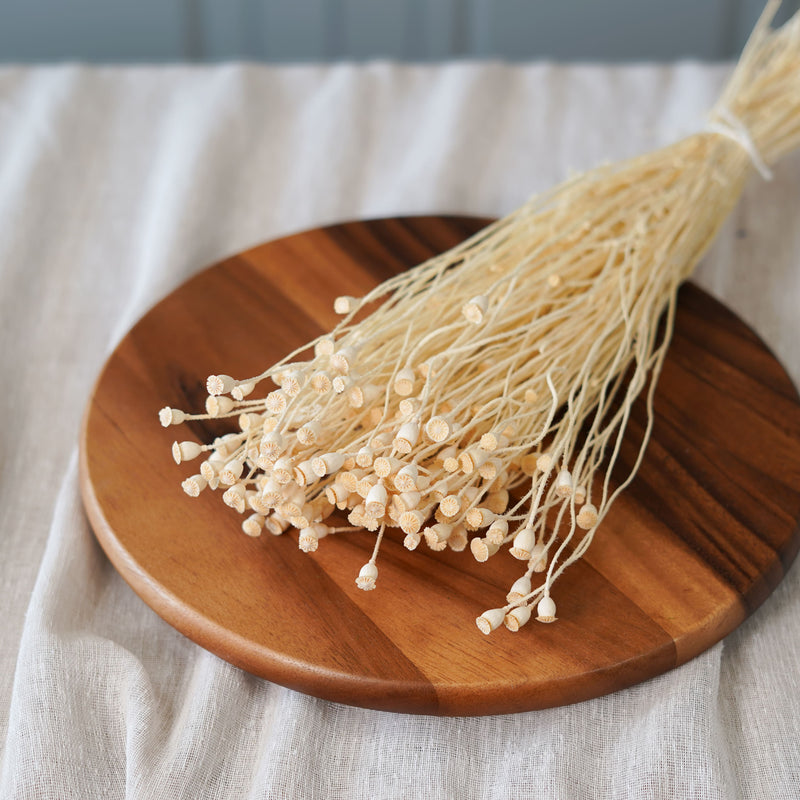 Botte de mini pavots blancs séchés dans un vase Flowrette