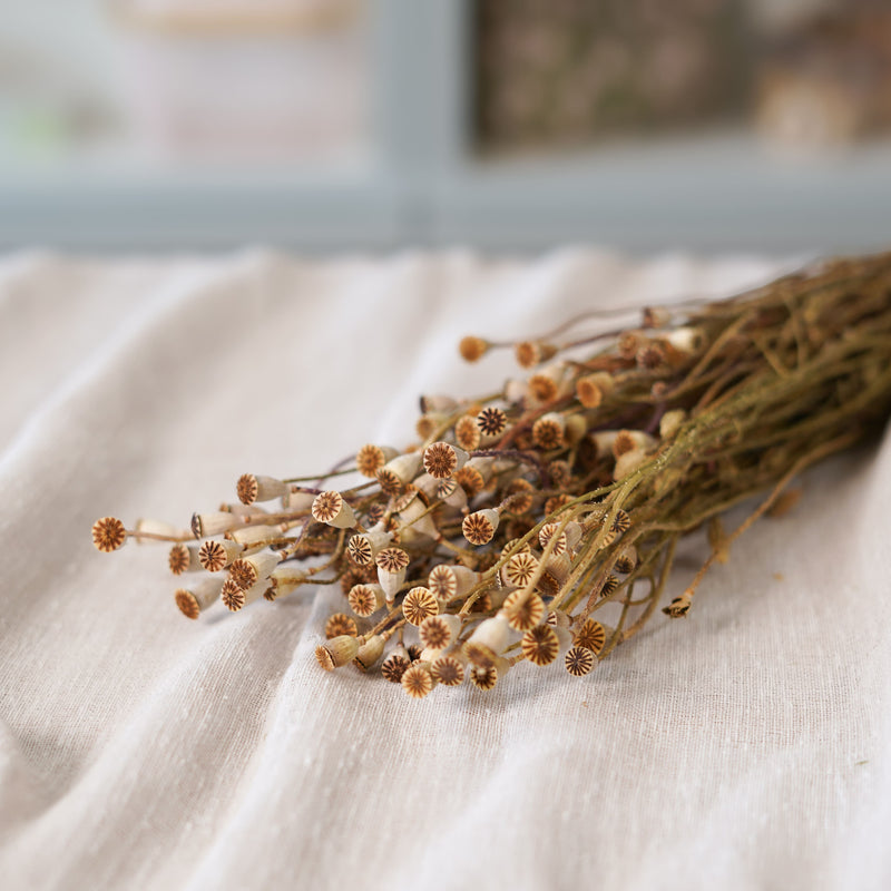 Botte de mini pavots naturel séchés dans un vase Flowrette