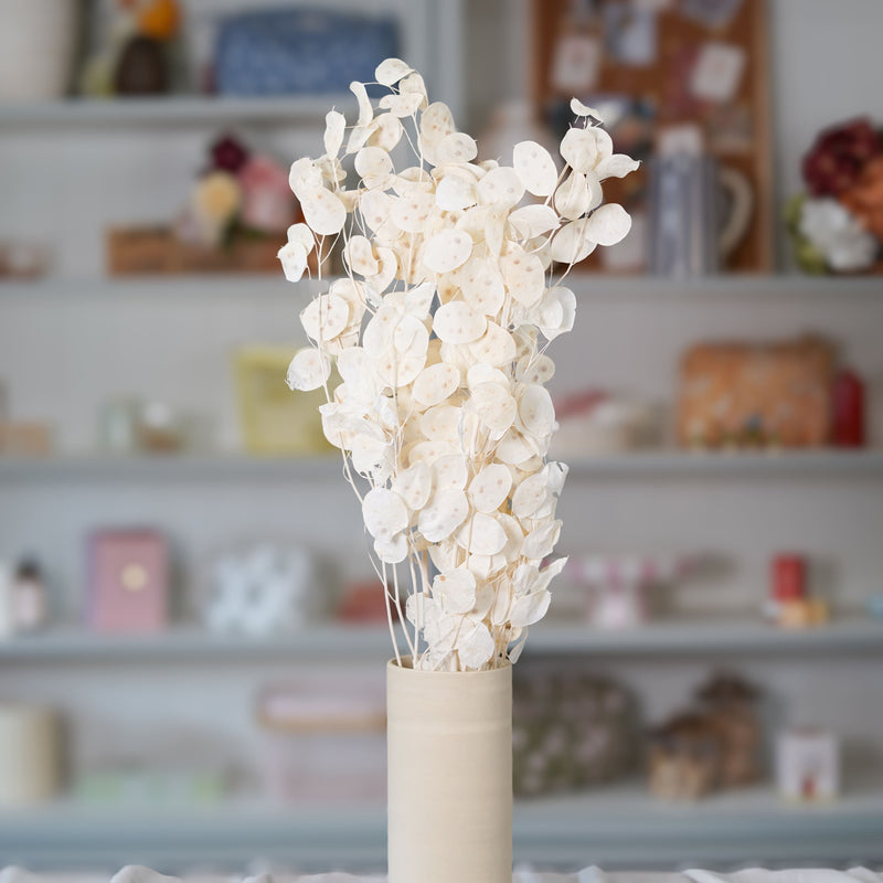 Botte de monnaie du pape séchée en bouquet de fleurs séchées Flowrette