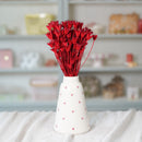 Botte de nigelle orientalis rouge séchée en bouquet de fleurs séchées Flowrette