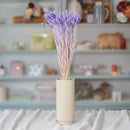 Botte de phalaris lilas séché en bouquet de fleurs séchées Flowrette