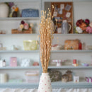 Botte de silène naturel séché en bouquet de fleurs séchées Flowrette