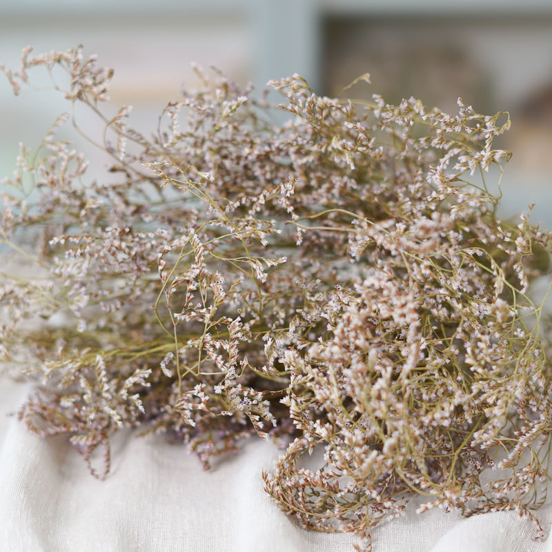Botte de statice marina naturel séchée dans un vase Flowrette