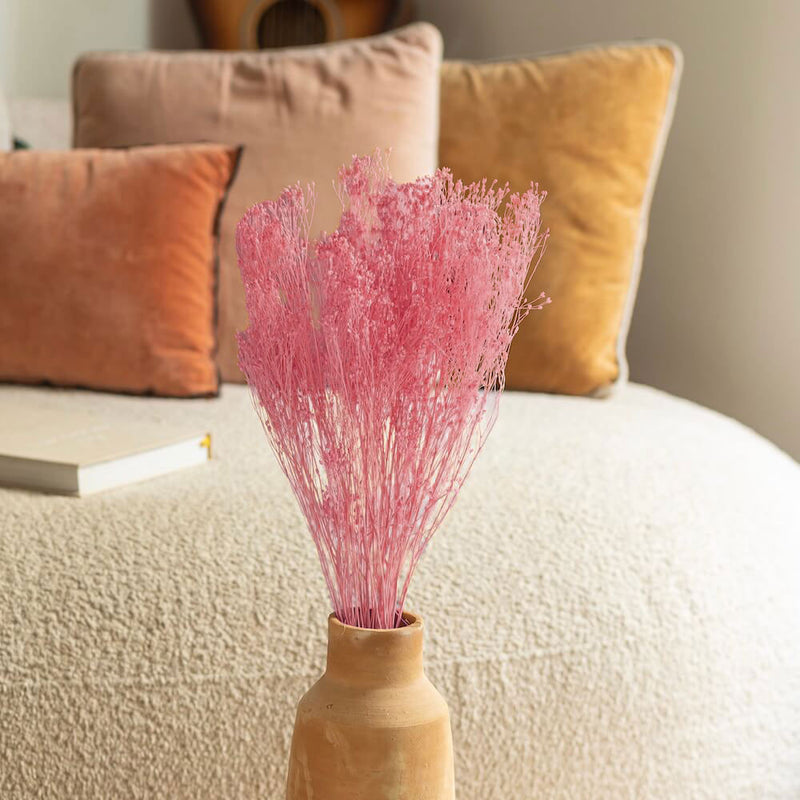 bottes-fleurs-sechees-flowrette-coloree-broom-bloom-rose