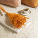 bottes-fleurs-sechees-flowrette-coloree-terracotta-broombloom