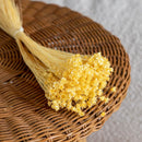 Botte Glixia jaune clair fleurs séchées, détail petites fleurs dorées - Flowrette