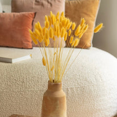 Botte Lagurus jaune clair fleurs séchées, vue d'ensemble bouquet - Flowrette