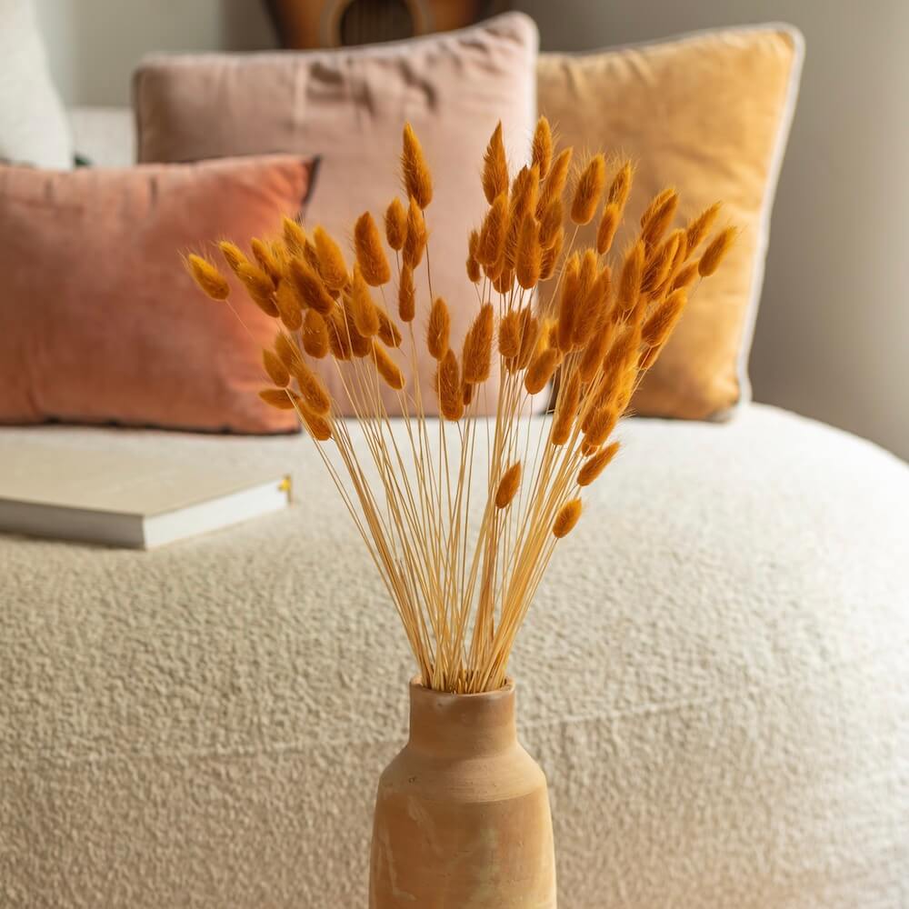 Botte Lagurus terracotta fleurs séchées, vue d'ensemble bouquet - Flowrette