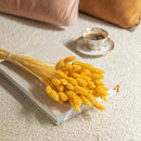 bottes-fleurs-sechees-flowrette-coloree-phalaris-jaune-clair