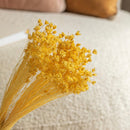 Botte Glixia jaune clair fleurs séchées, dans vase décoration - Flowrette