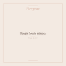 Bougie fleurie mimosa - Flowrette