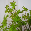 Branche d'Enkianthus artificiel - Flowrette