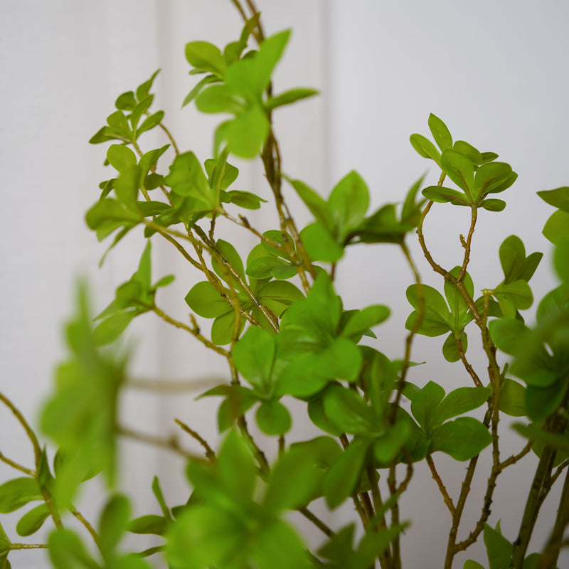 Branche d'Enkianthus artificiel - Flowrette