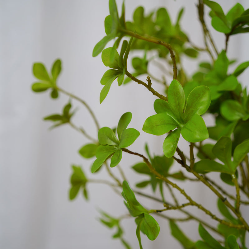 Branche d'Enkianthus artificiel - Flowrette