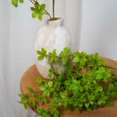 Branche d'Enkianthus artificiel - Flowrette