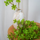 Branche d'Enkianthus artificiel - Flowrette