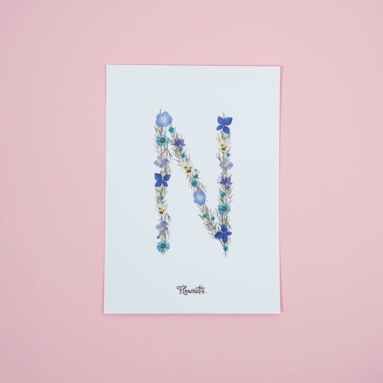 Affiche A5 herbier lettre bleu - Flowrette