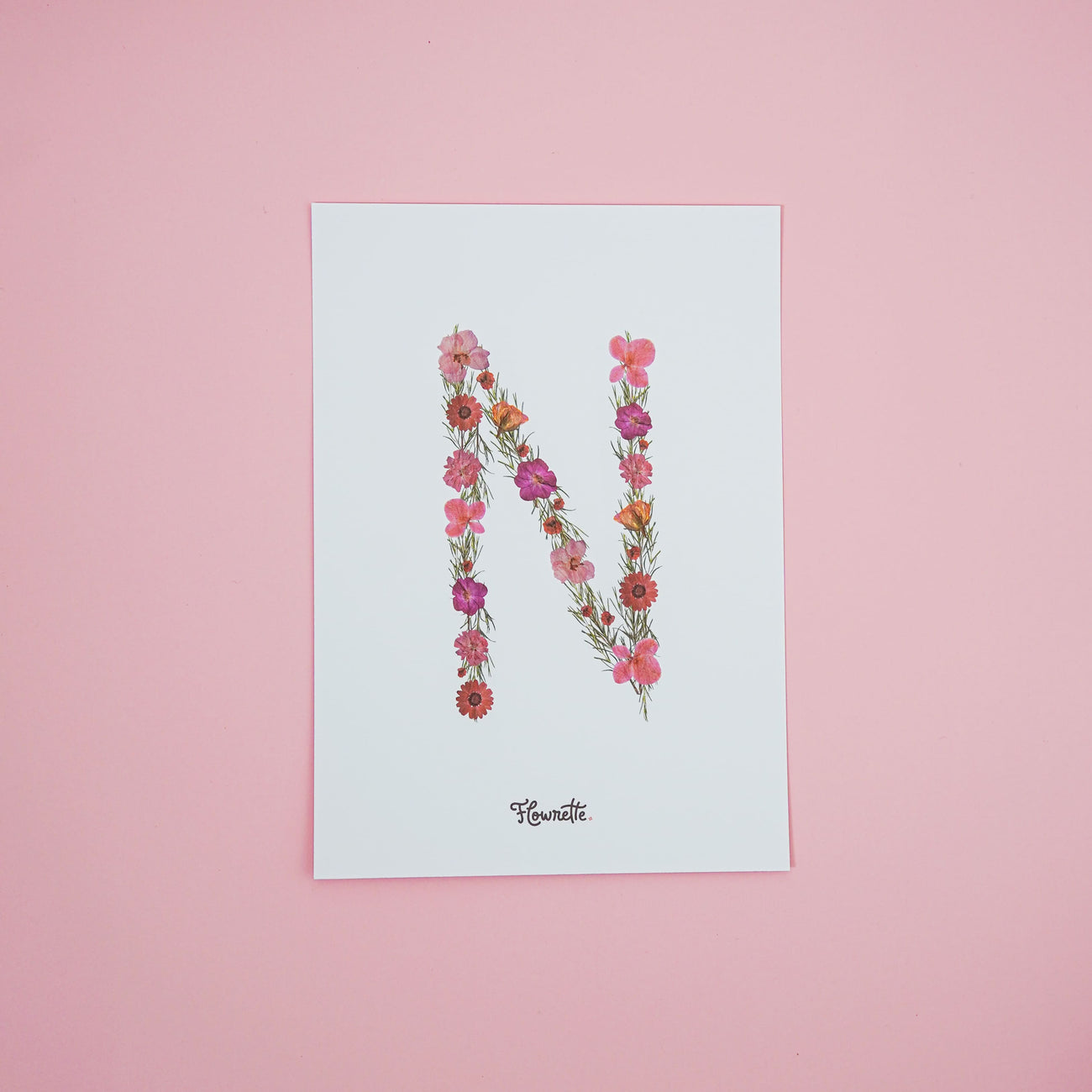 Affiche A5 herbier lettre rose - Flowrette