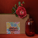 Boxad Box Box