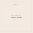 Duo de bougies harmonie myosotis - Flowrette