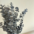 Botte fleurs séchées Eucalyptus Baby Vert